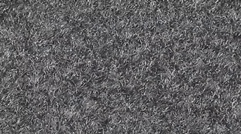 Gray Carpet swatch